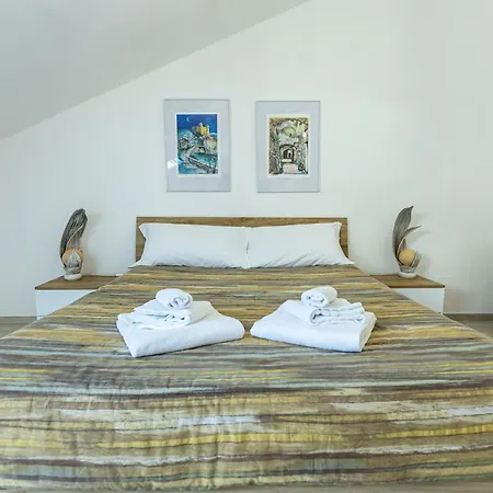 Riccio Di Mare San Lorenzo al Mare